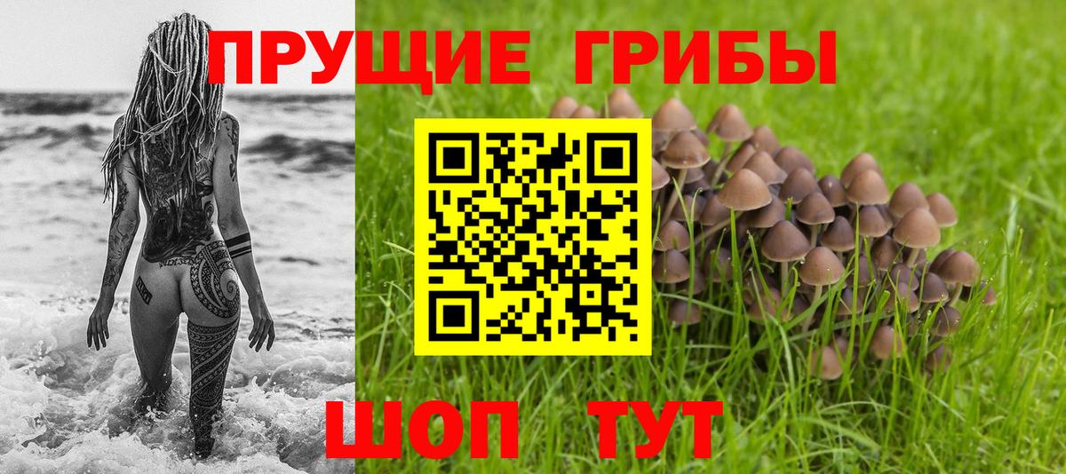 Мыски  Галлюциногенные грибы прущие грибы  Вход с VPN 